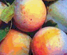 Arvores de Fruto