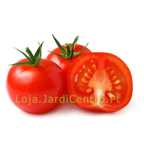 Sementes de Tomate. Saiba como Cultivar em Casa, Horta ou Jardim