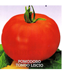 Tomato "Round Smooth"